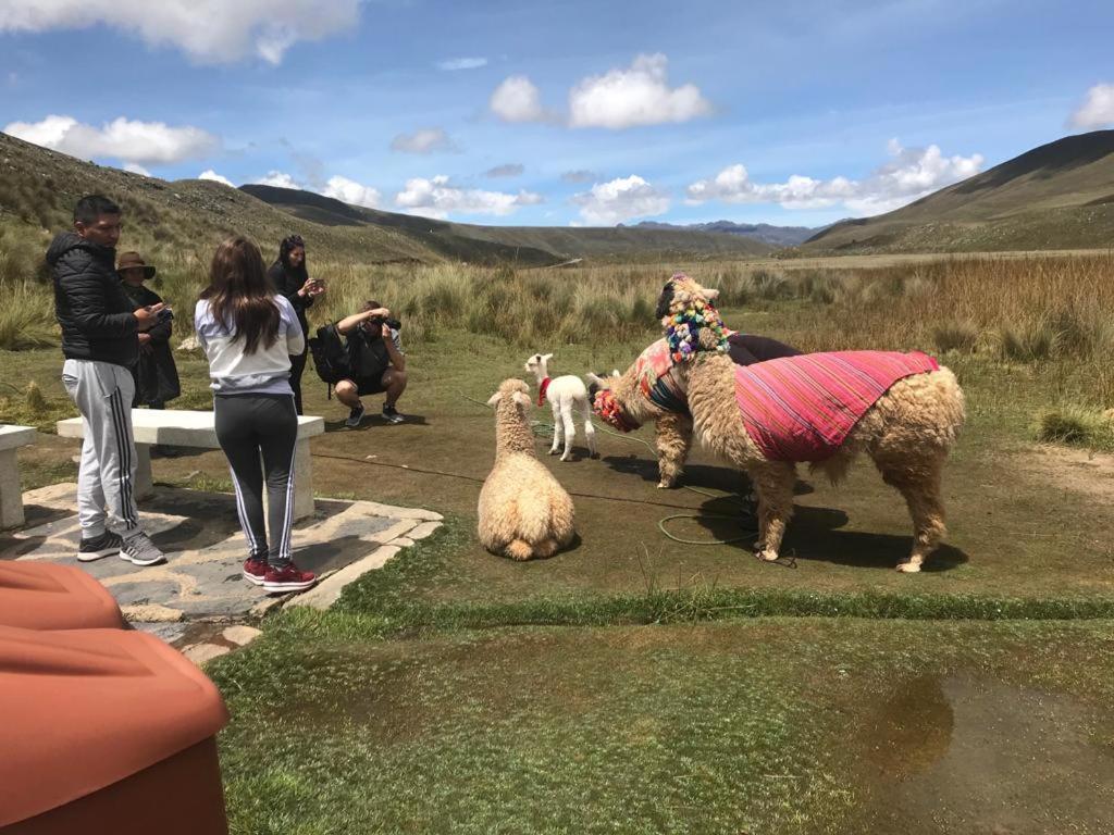 Bed and Breakfast Amazing Huaraz Esterno foto