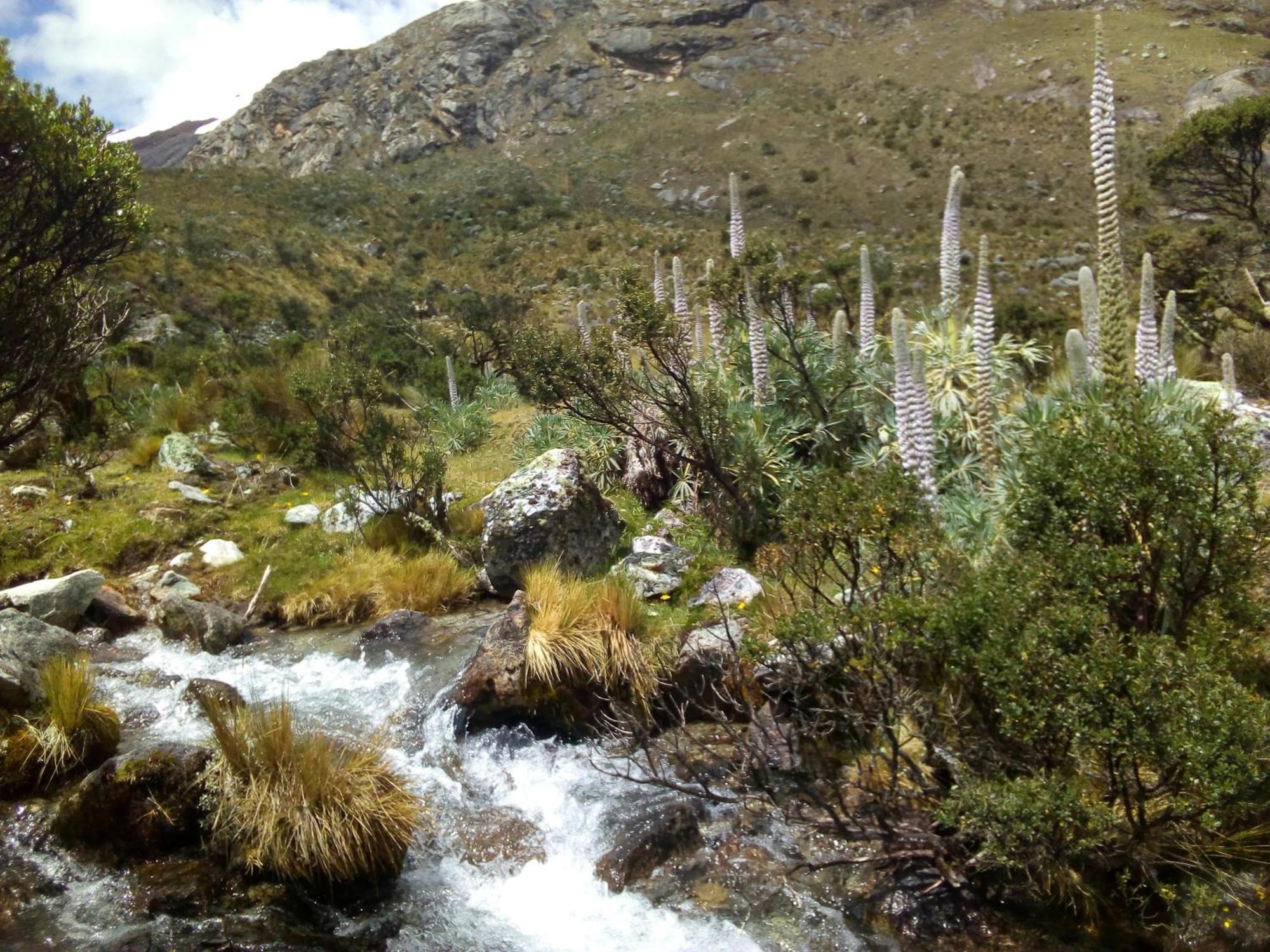 Bed and Breakfast Amazing Huaraz Esterno foto