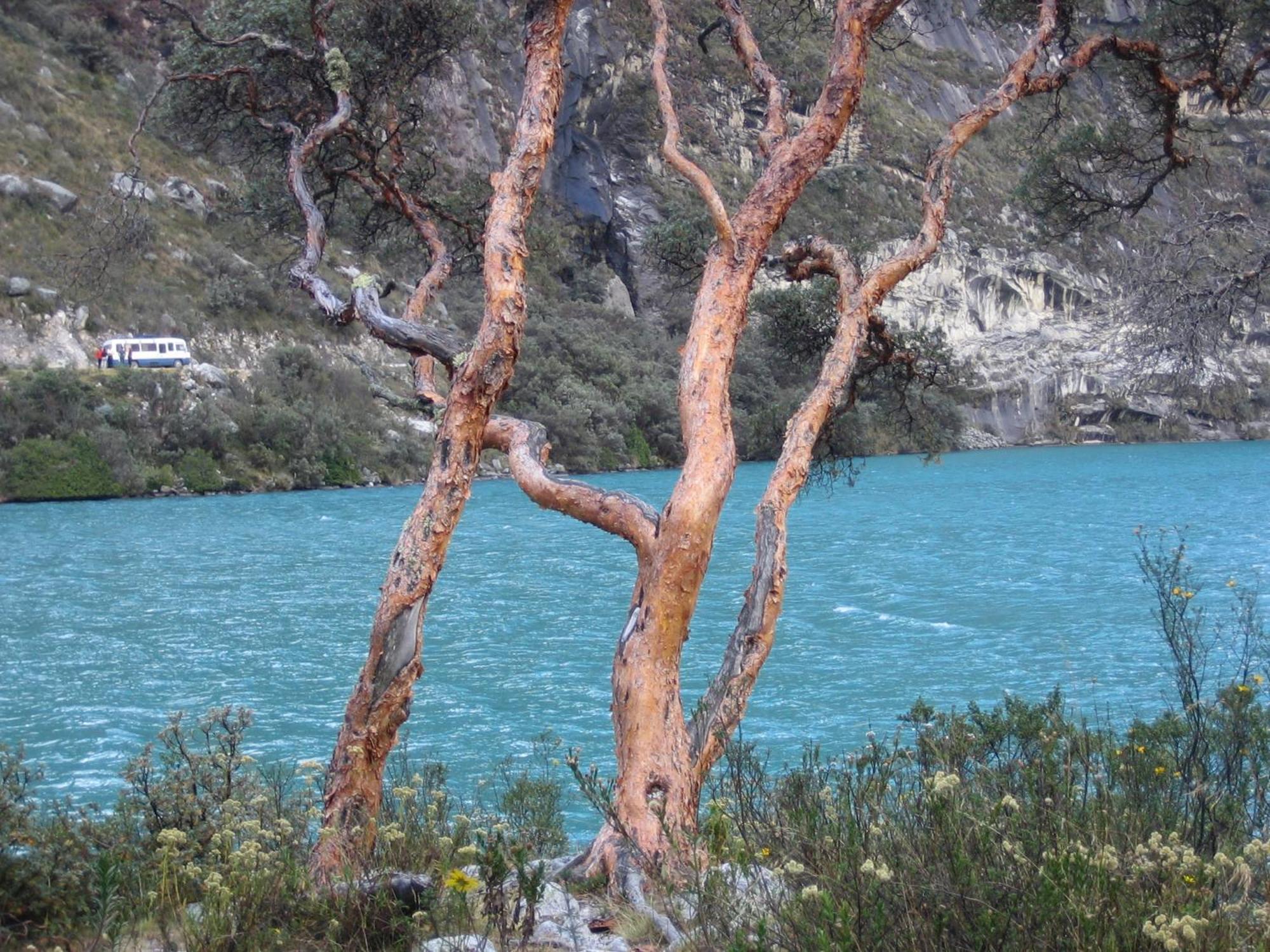Bed and Breakfast Amazing Huaraz Esterno foto